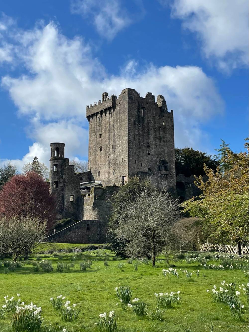 Stone castle with flowers in foreground